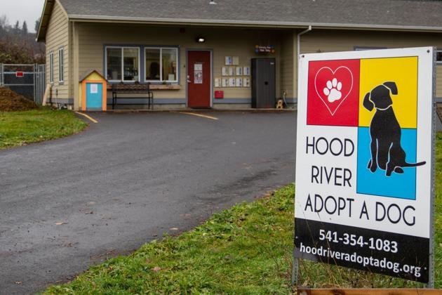 Hood River Adopt A Dog