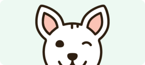 PNP-banner-light-bkg